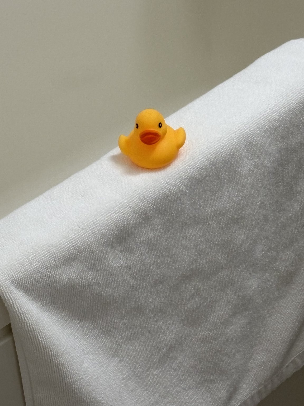 Welcome by the Little Duck