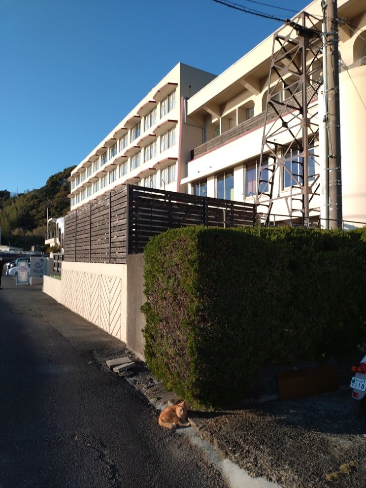 My First HafH Trip to Izu 【Solo Travel】