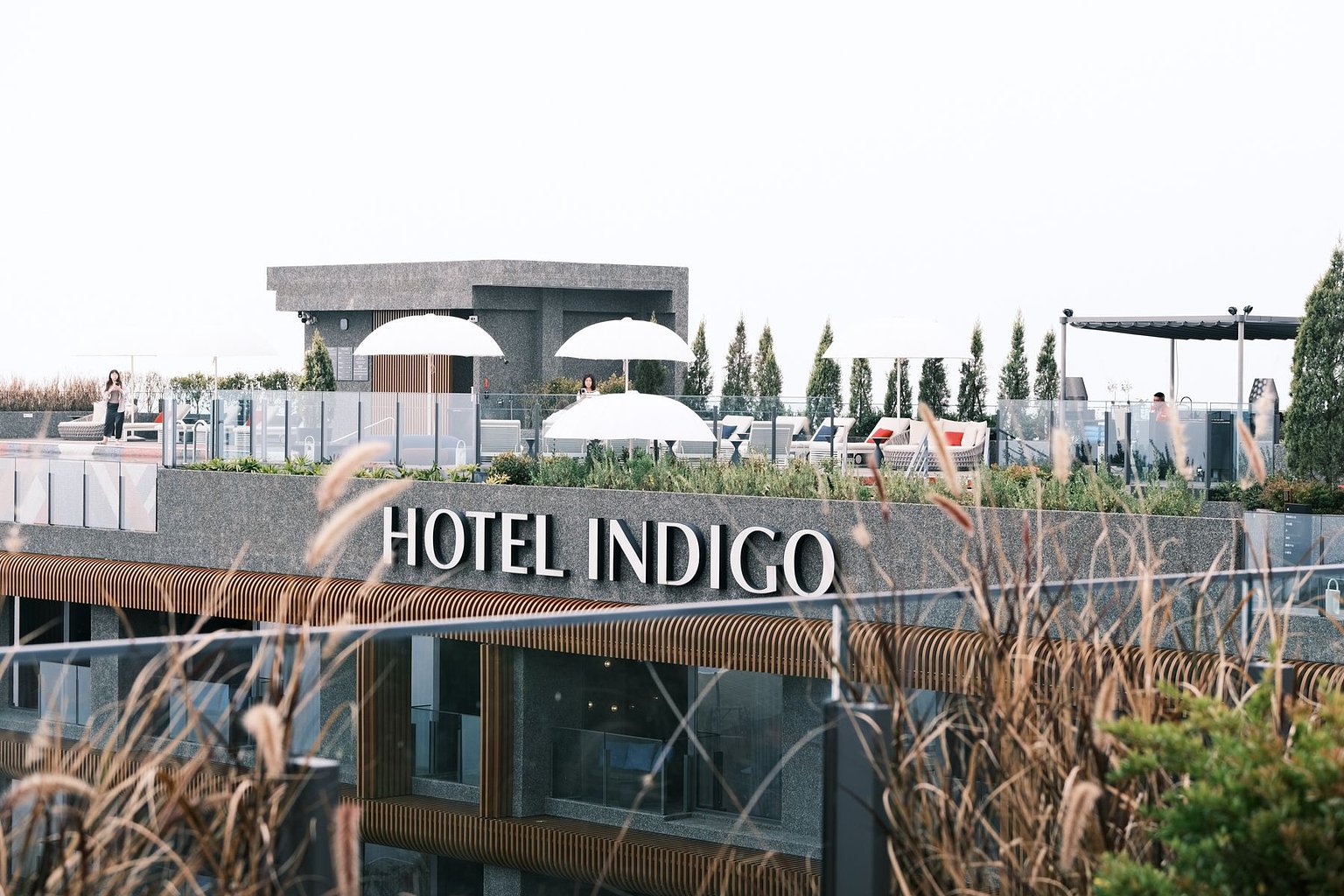 Hotel Indigo 阿里山｜住進雲與霧的交界，醒來就是風景