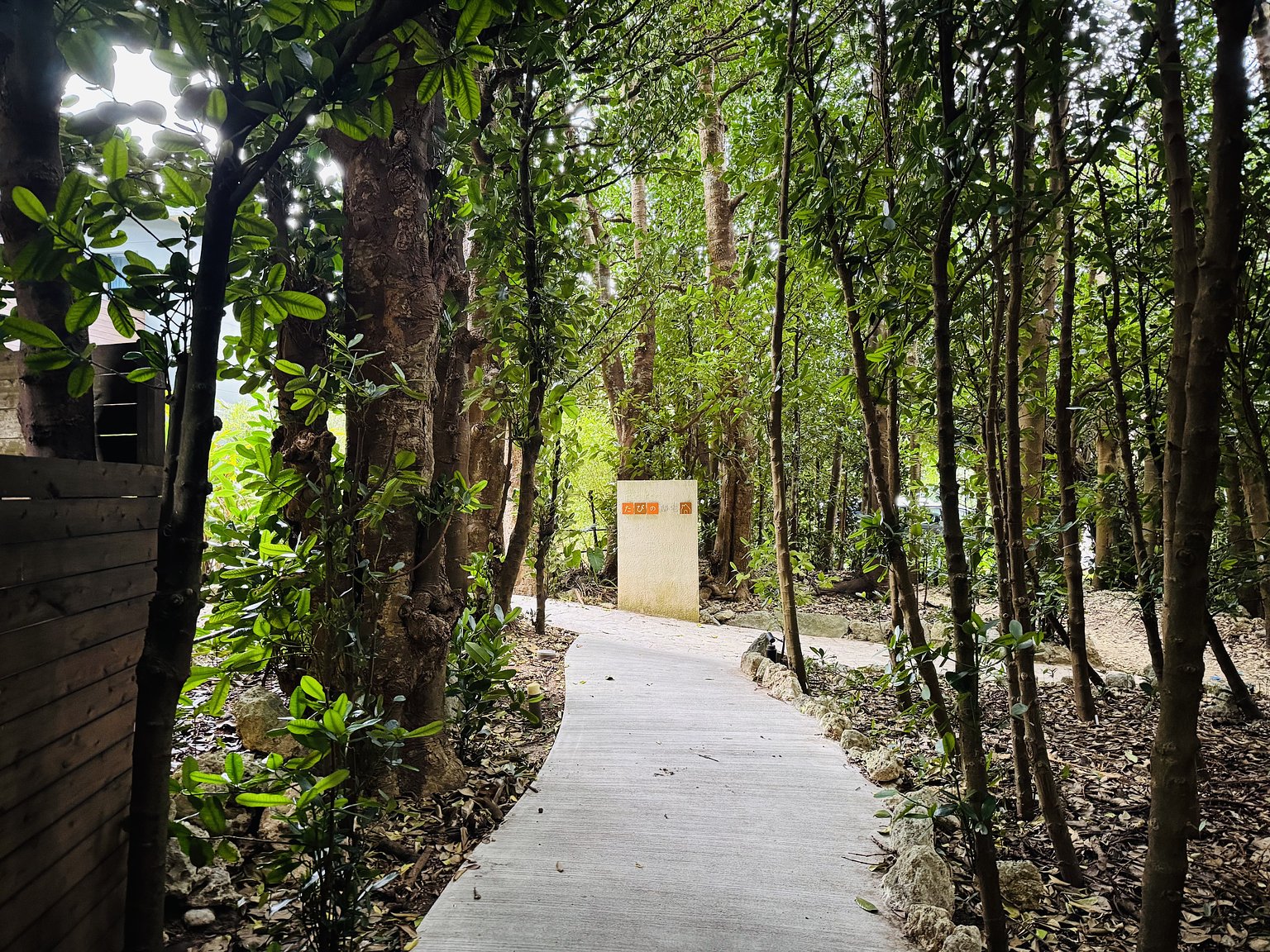 치유의 바다 아쿠아리움 근처! 후쿠기 나무 숲 속에 있는 렌탈 별장【실내 사진 있음】