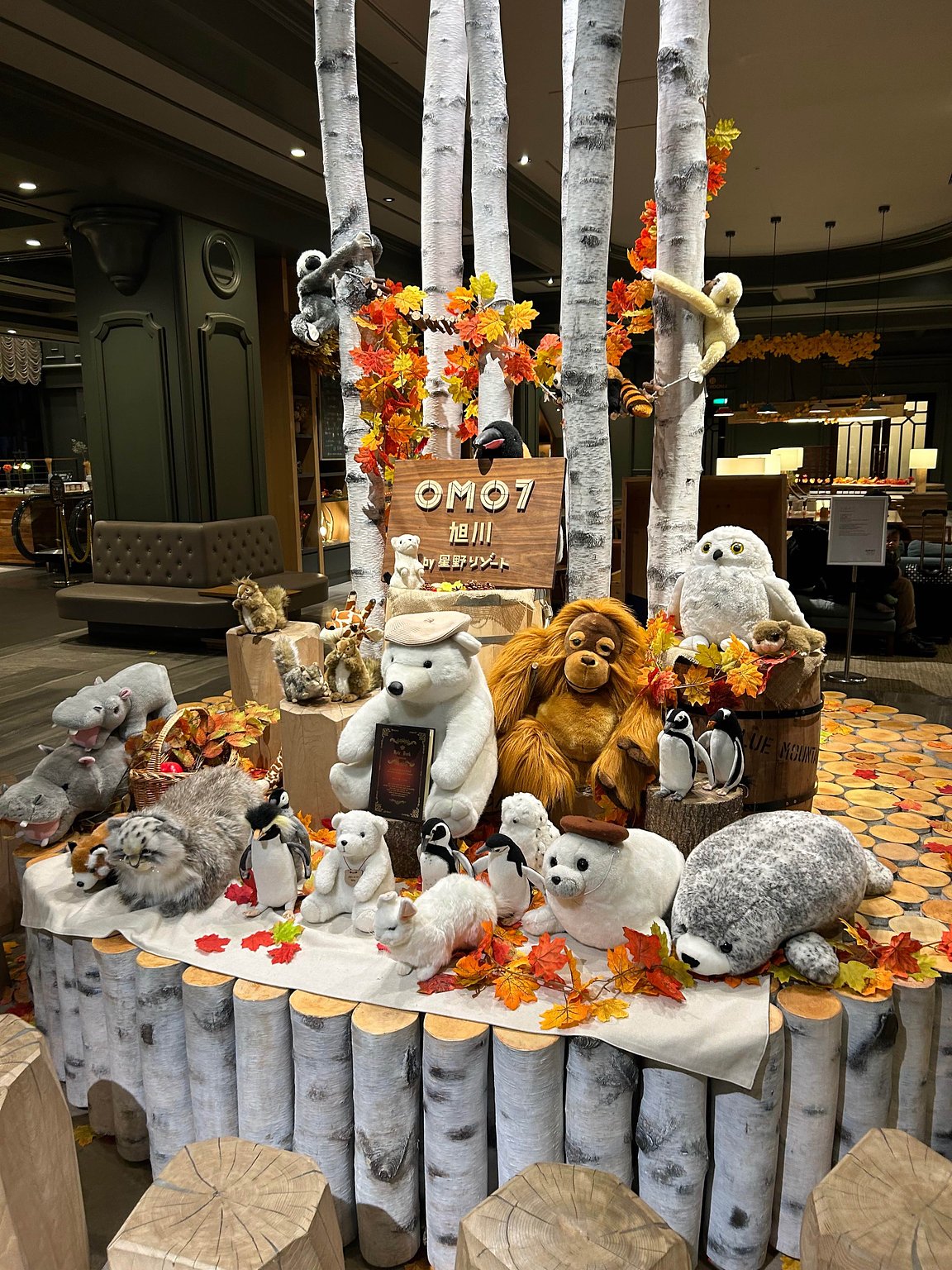 The sauna is great! My daughter was delighted!