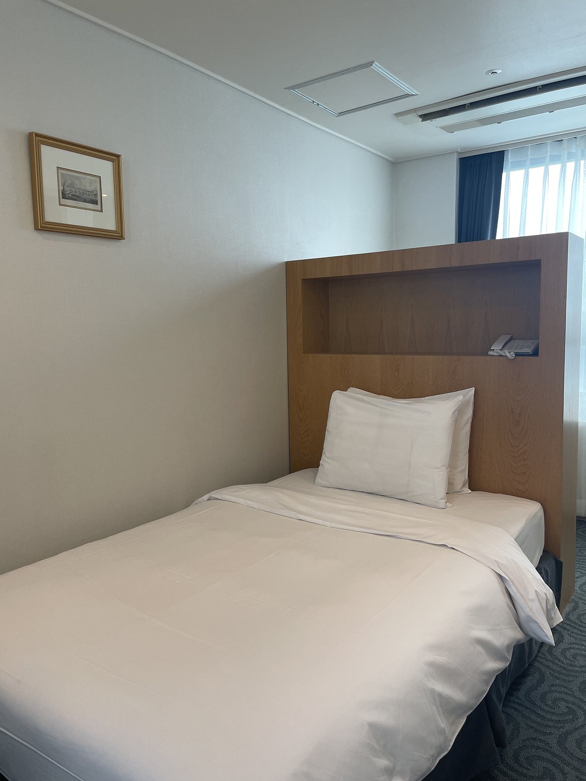 Street Food at Gwangjang Market!