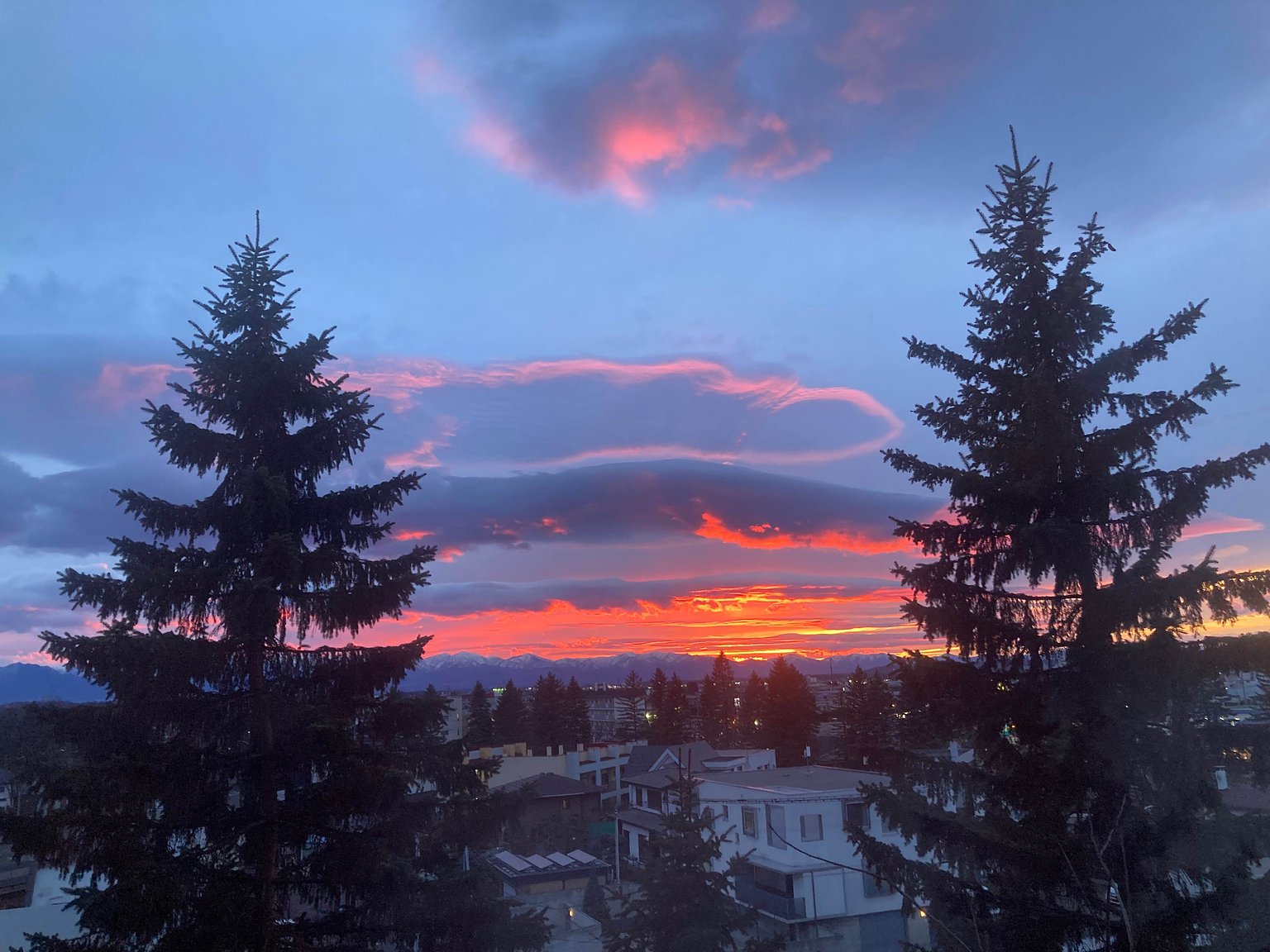 松鼠在跑來跑去！