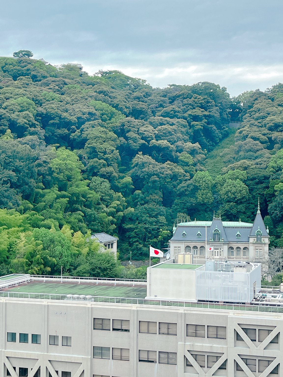 The Best Free Sleep Goods!