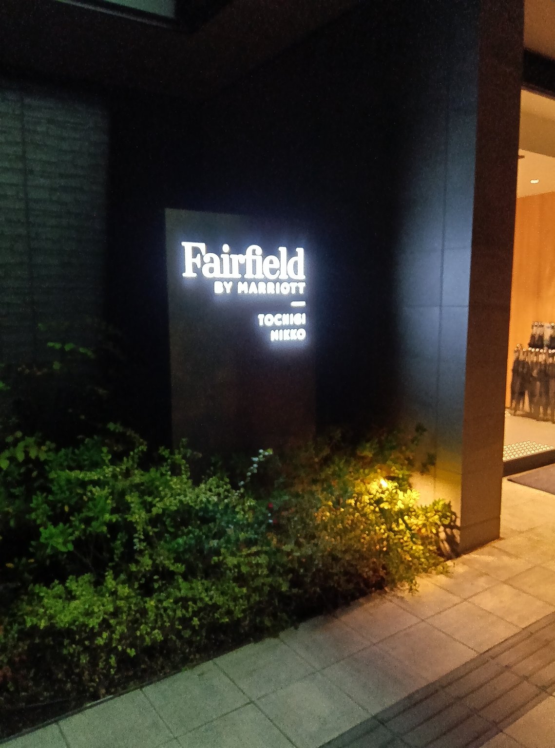 An Extraordinary Experience at a Hotel in a Quiet Forest!