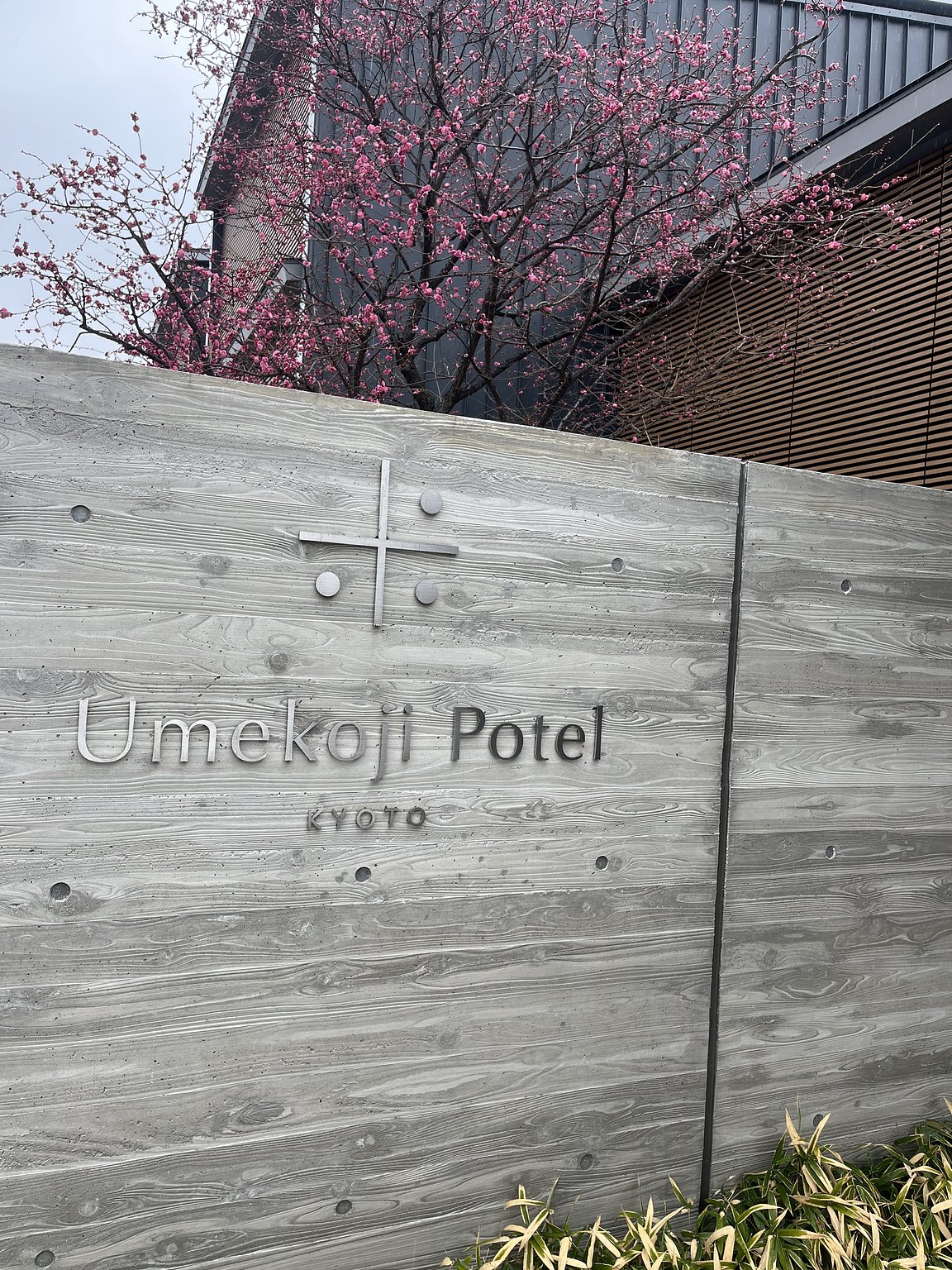 아오니요시 탑승과 우메코지에서 놀기