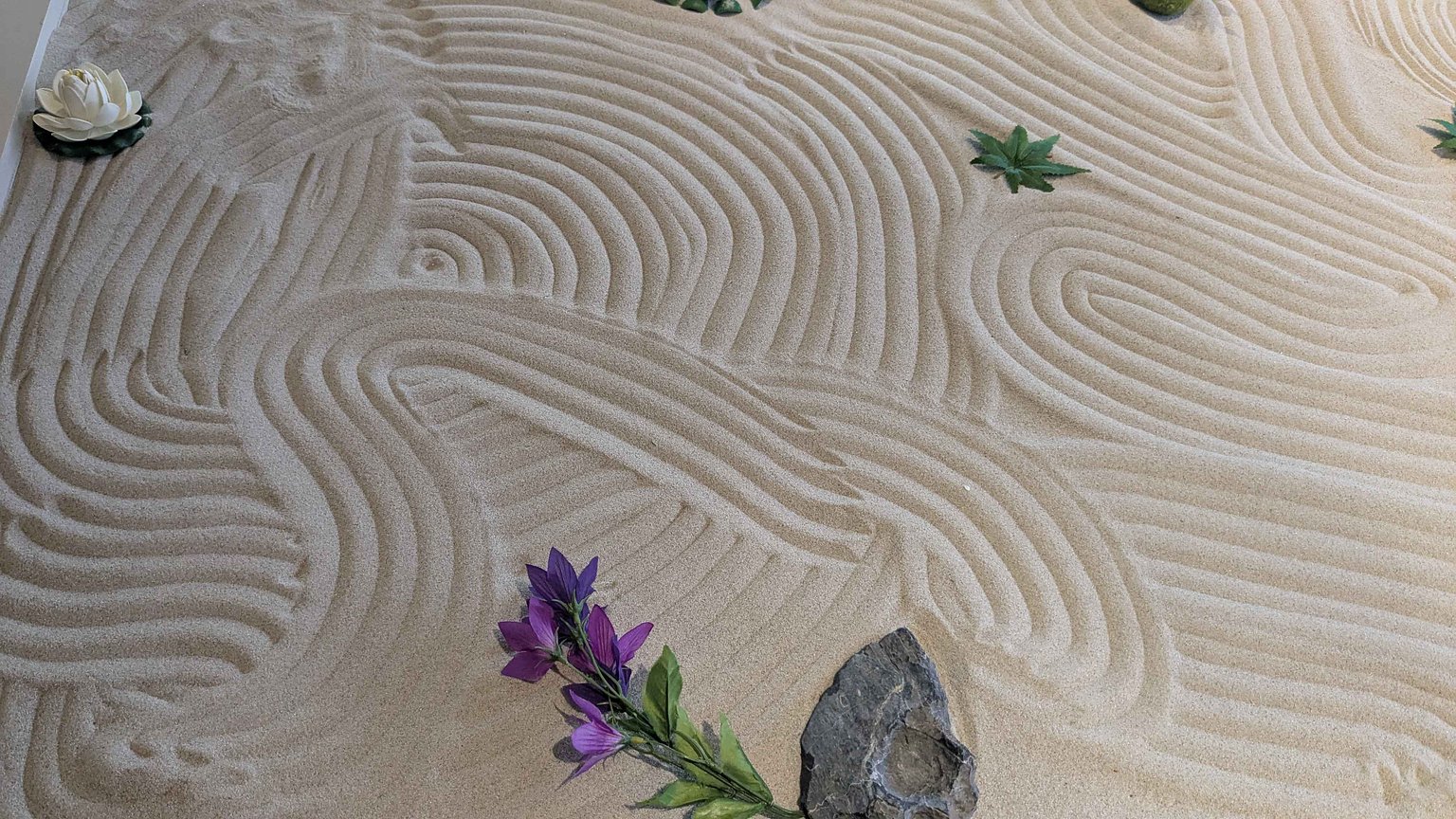 I Highly Recommend OMO for Family Trips!