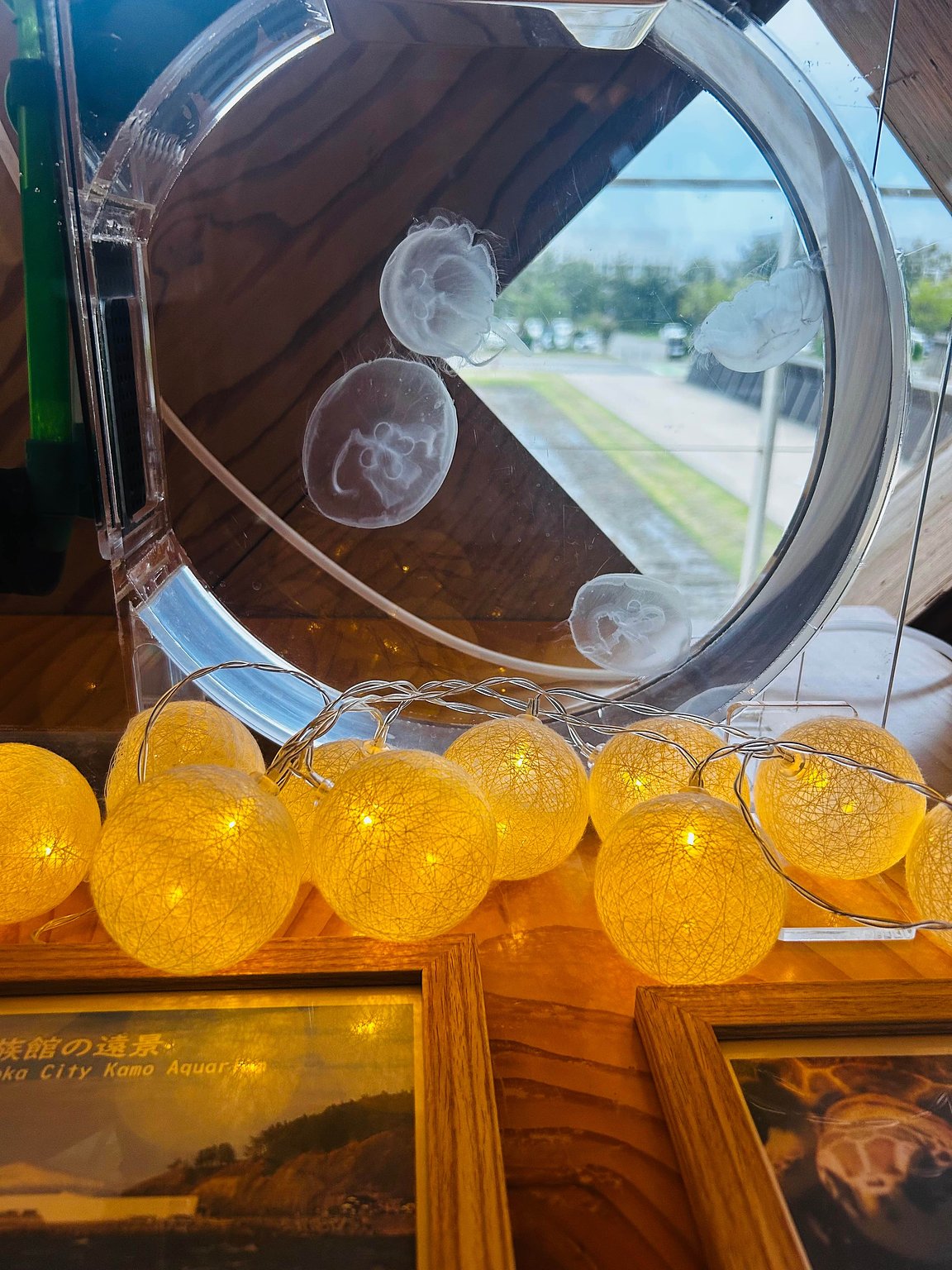 [Family Trip of Three] Hotel Floating in Rice Fields