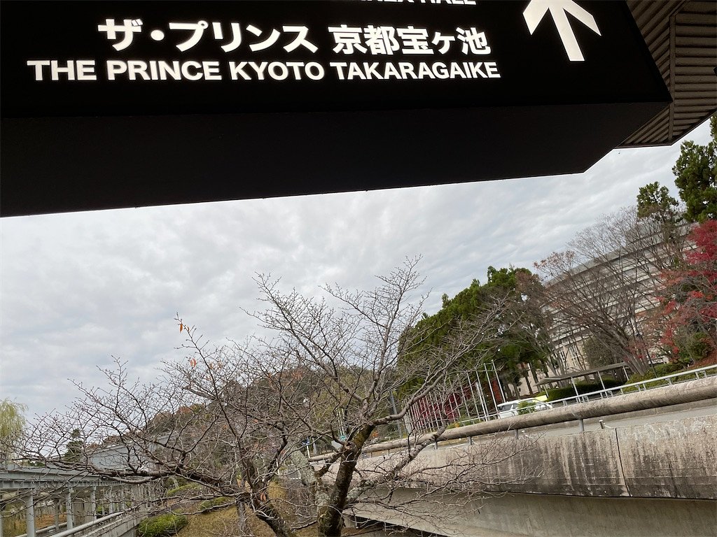 如果你在京都尋求寧靜，這裡就是地方。