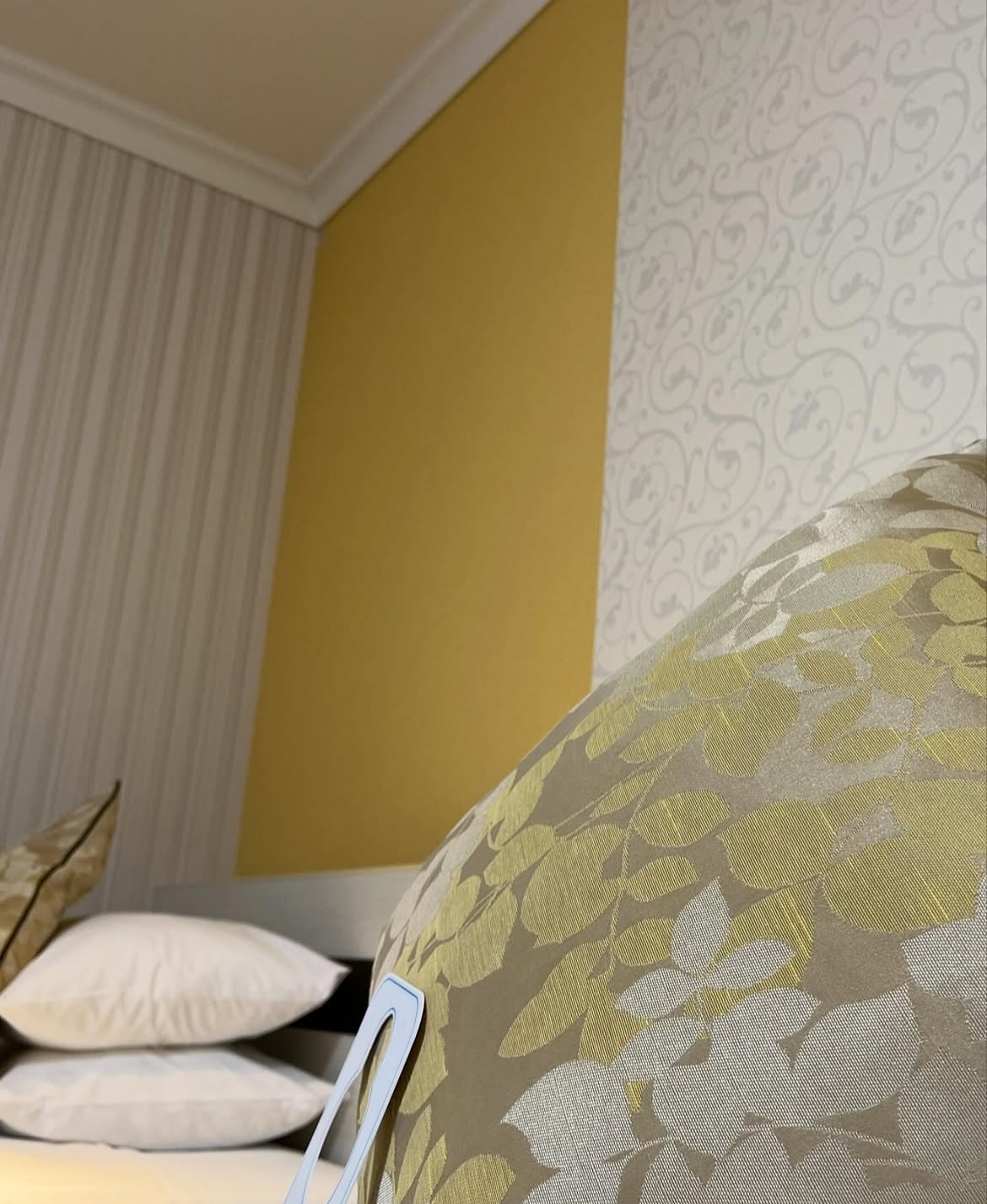 三口之家在迪士尼的住宿