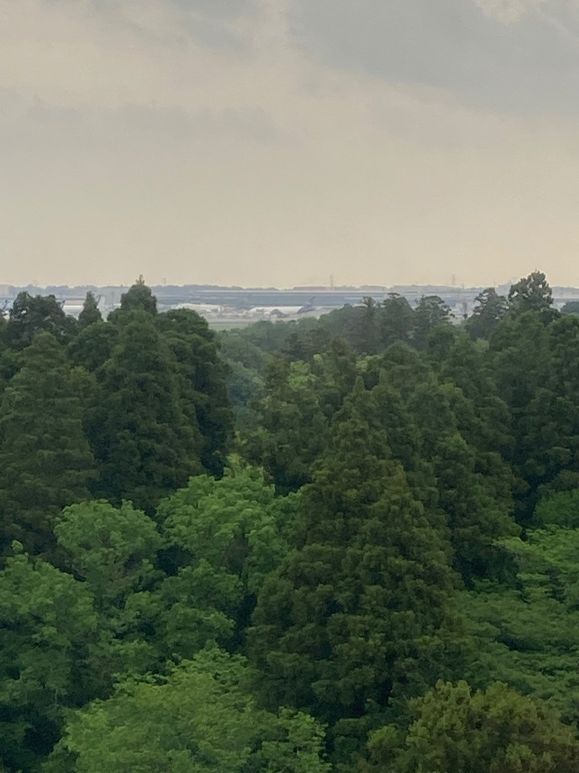 아트 호텔을 거점으로 한 혼자 여행