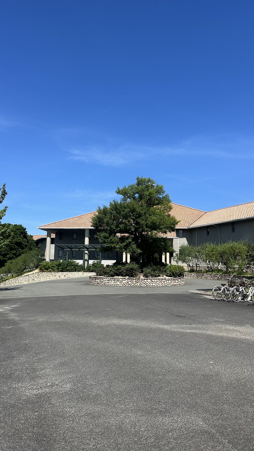 Relaxing by the Pool!