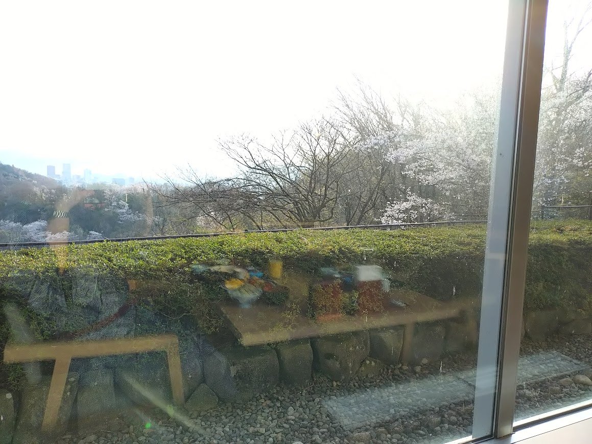 The Food Was Delicious