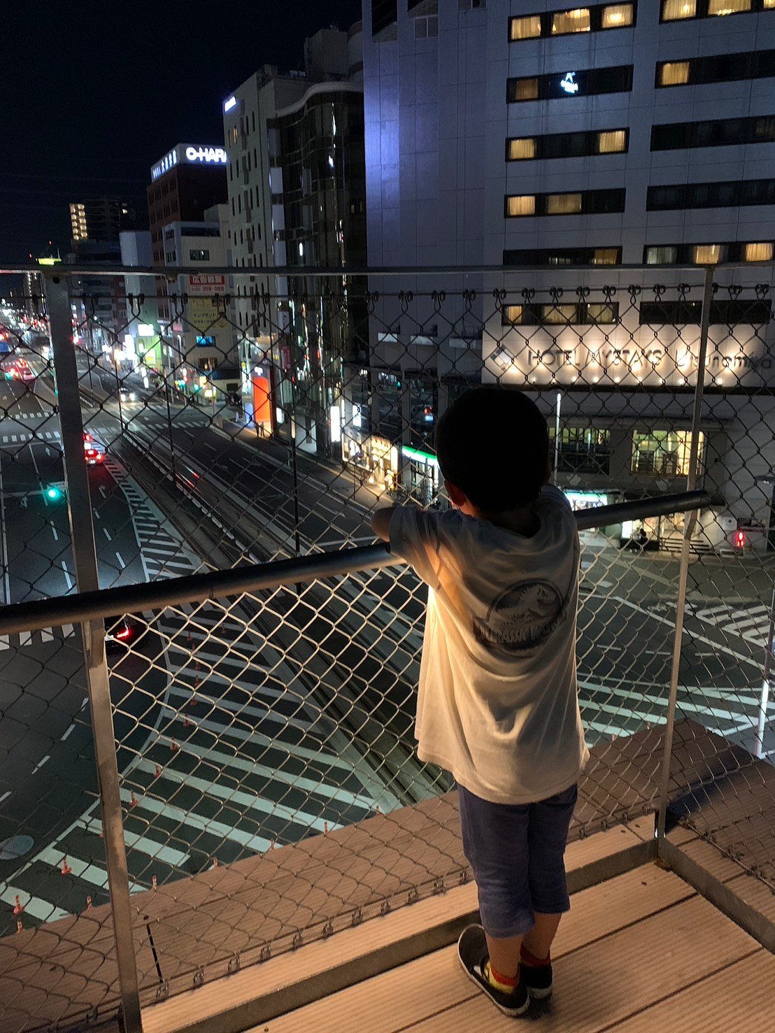 Night in Utsunomiya