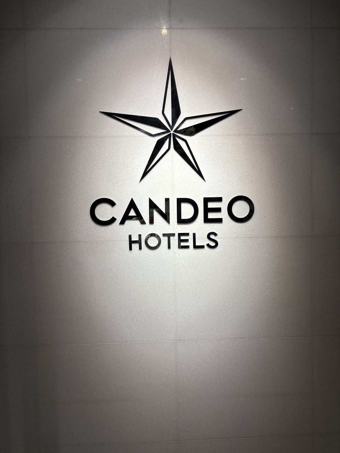 Hotel with a Wonderful Lobby View