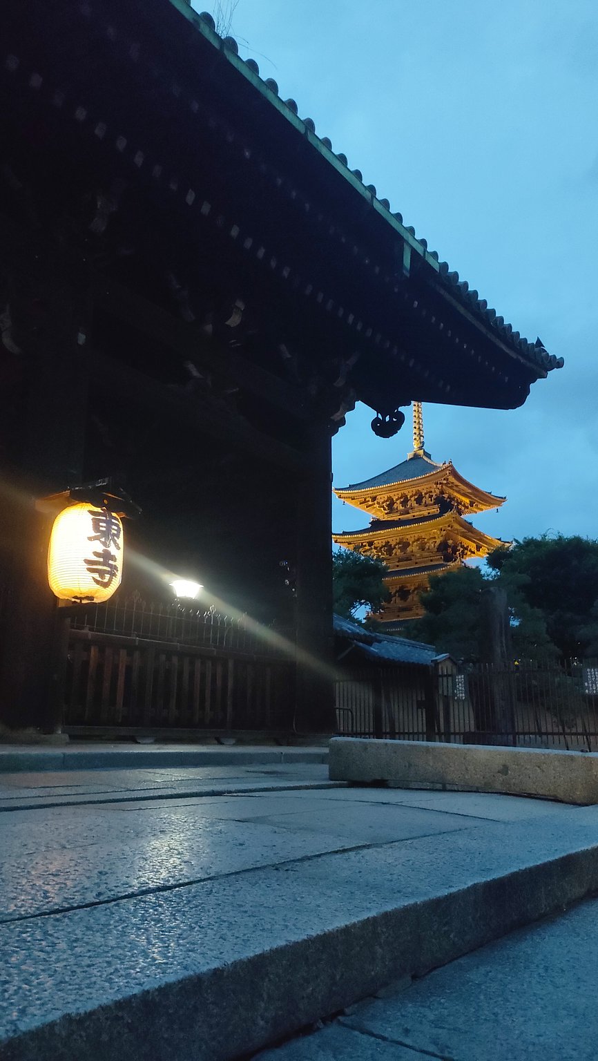 Waking Up Early to See the Lotus Flowers at To-ji Temple 🪷🪷🪷