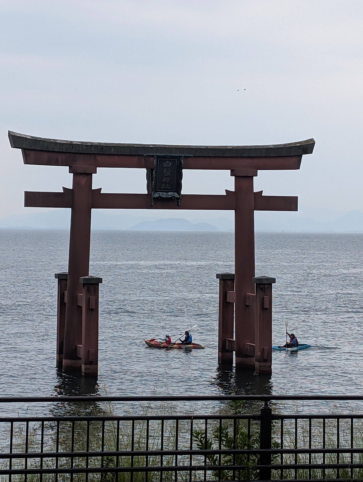 Perfect for Swimming in Lake Biwa