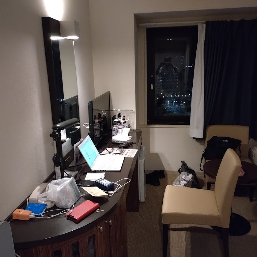 Accommodations Directly Accessible from Niigata Station