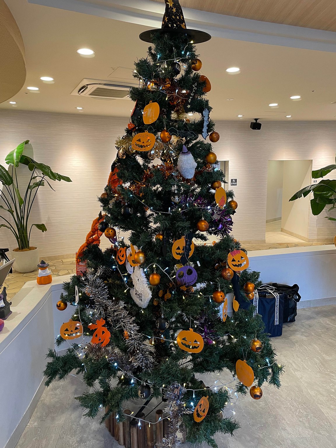 Recommended for Family Travel in Izu!