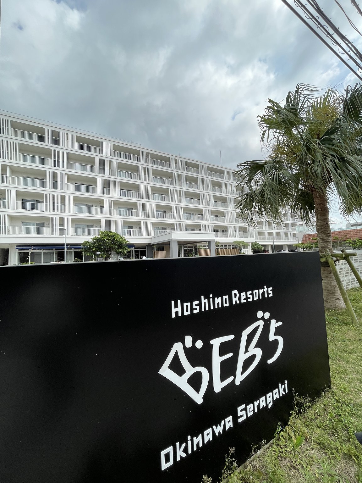 One Night is Not Enough