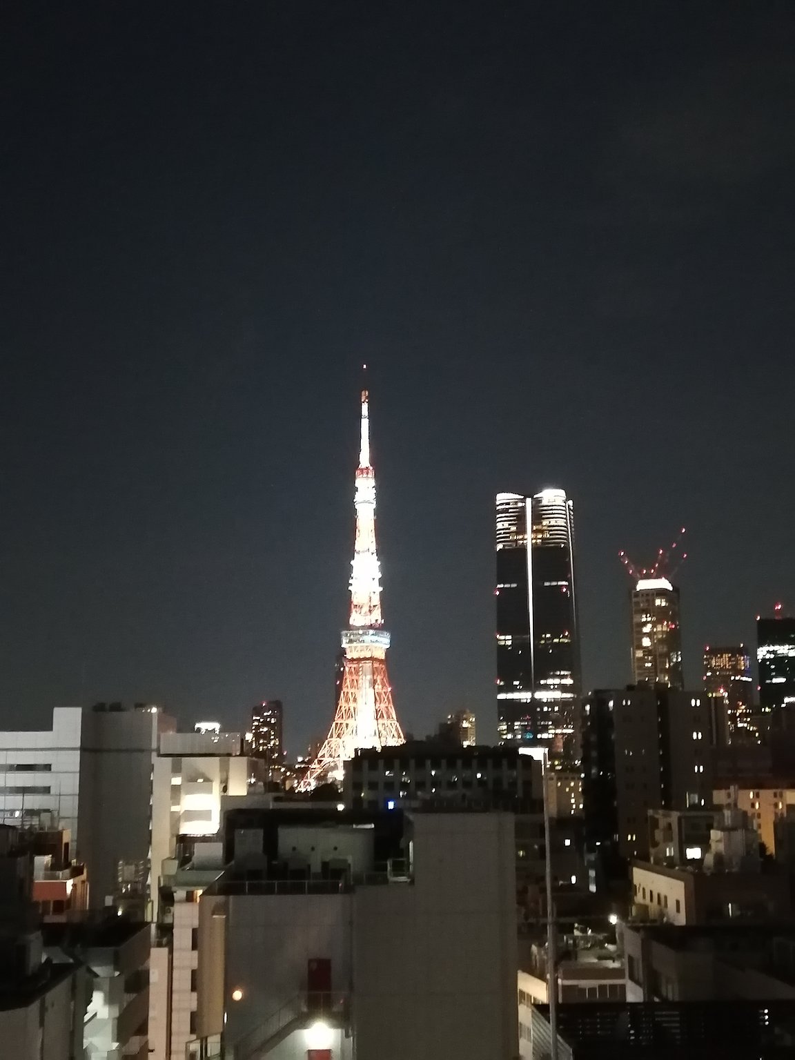 Good Night and Good Morning to Tokyo Tower