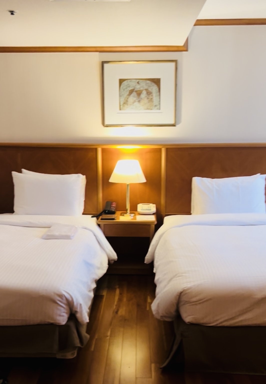 Famous Hotel in Myeongdong!