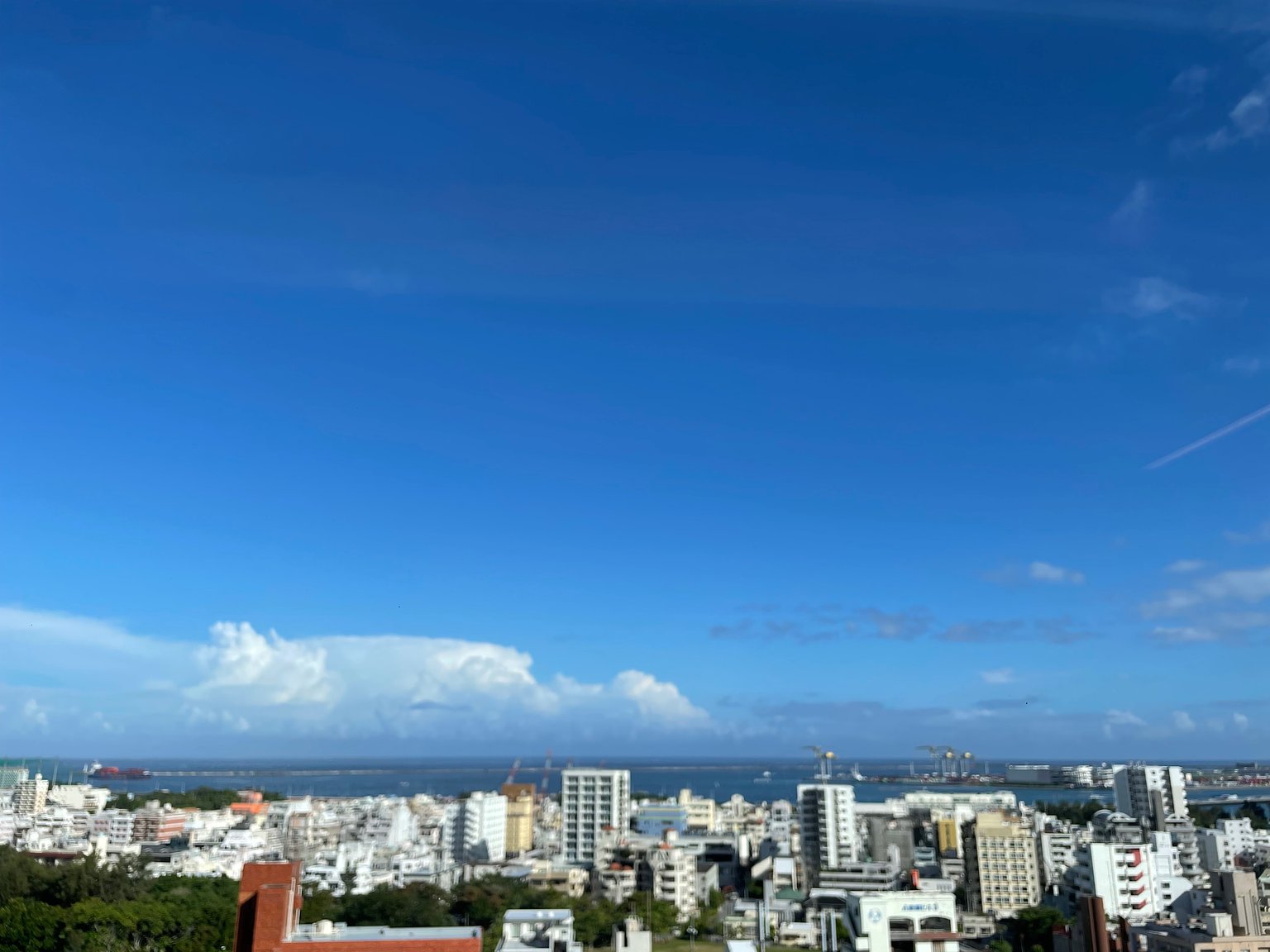 오키나와의 마지막 밤