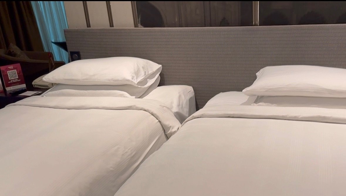 A Clean Indian Hotel Adjacent to the Airport! Highly Recommended!