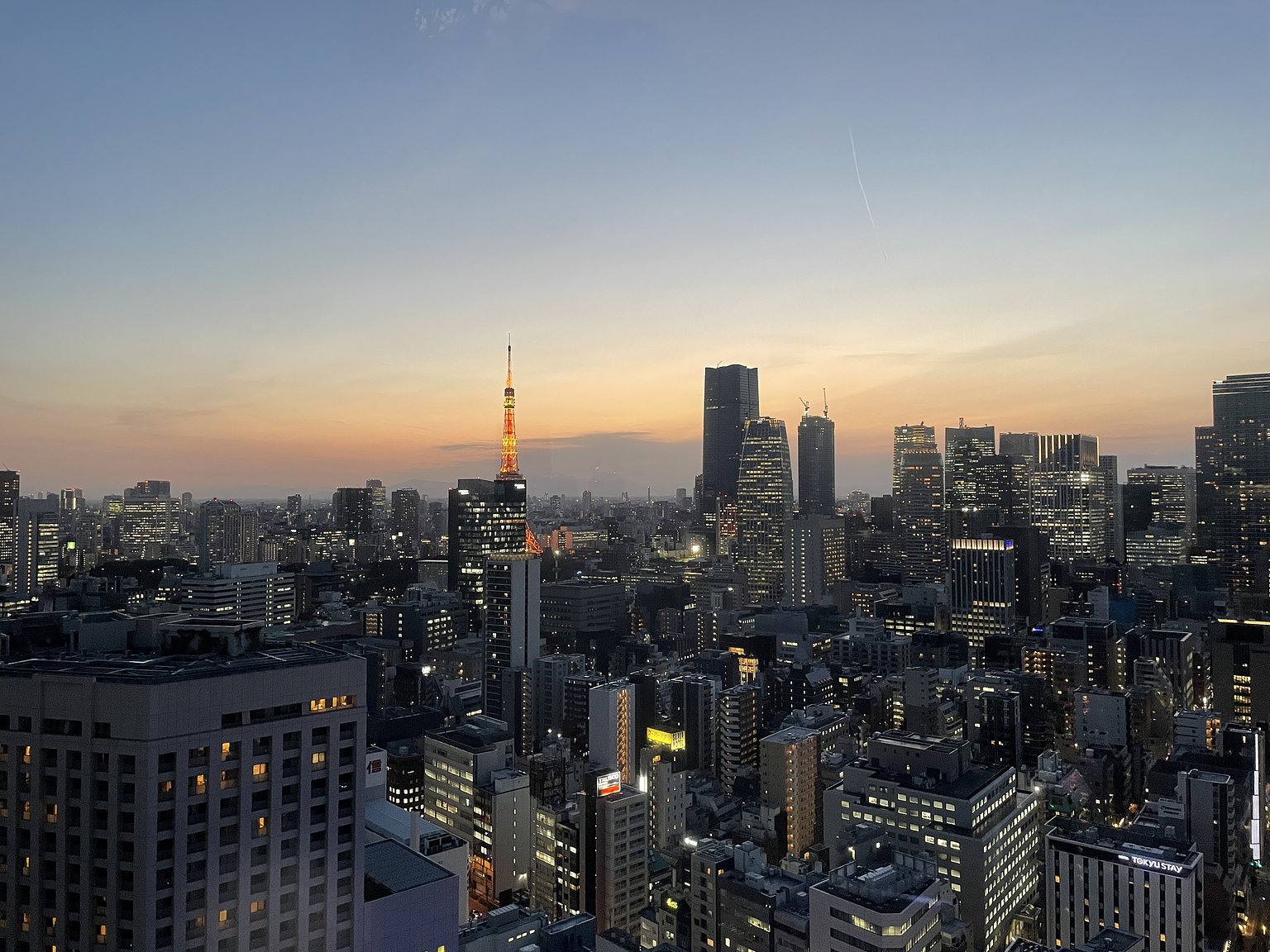 고급스러운 고층 호텔