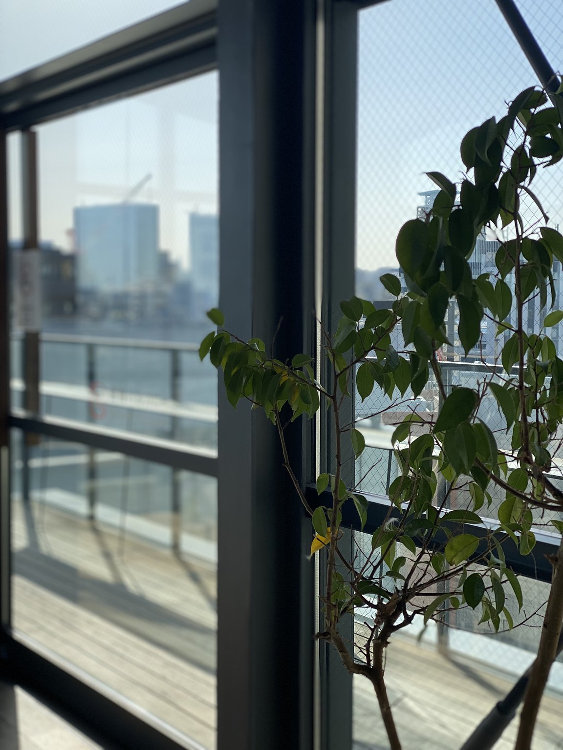 Quick Trip from Tokyo to Meet a Friend in Nagoya!