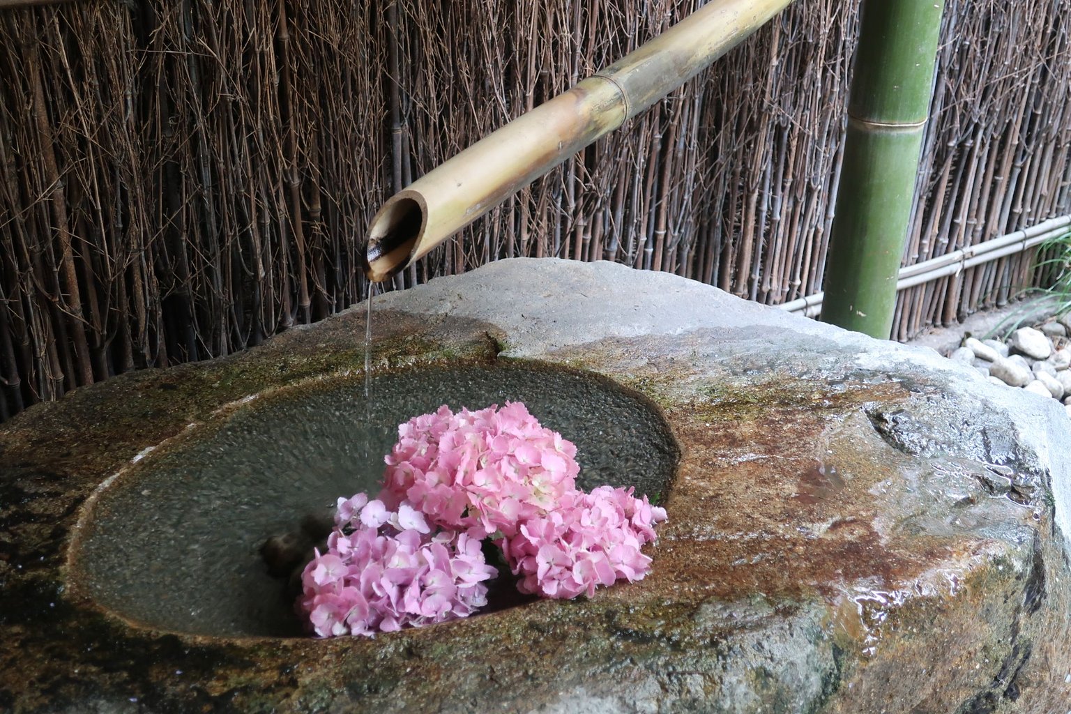 “Japanese Travel” in the City: A Weekend of Relaxation