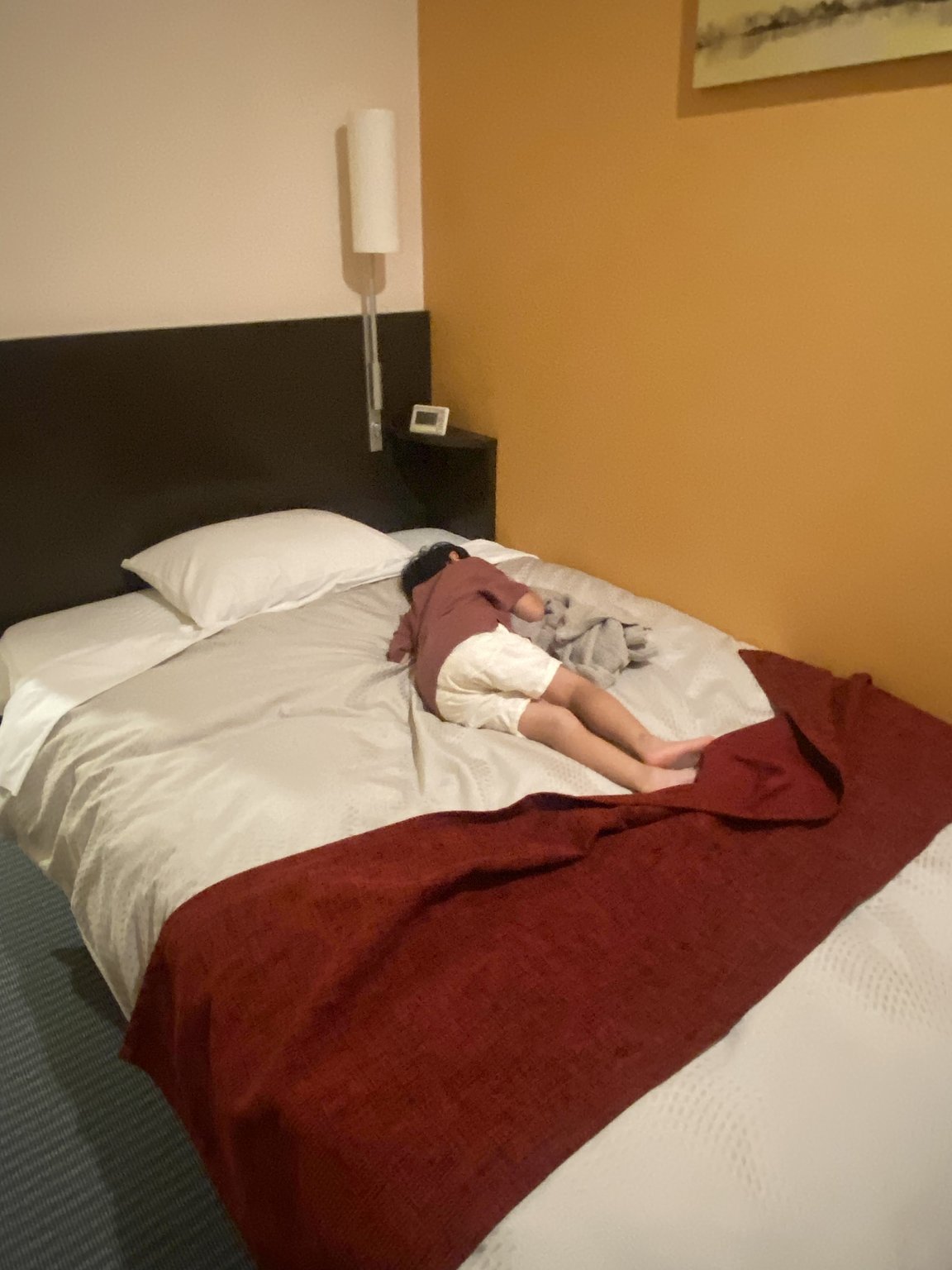 Convenient Access, Affordable Urban Hotel