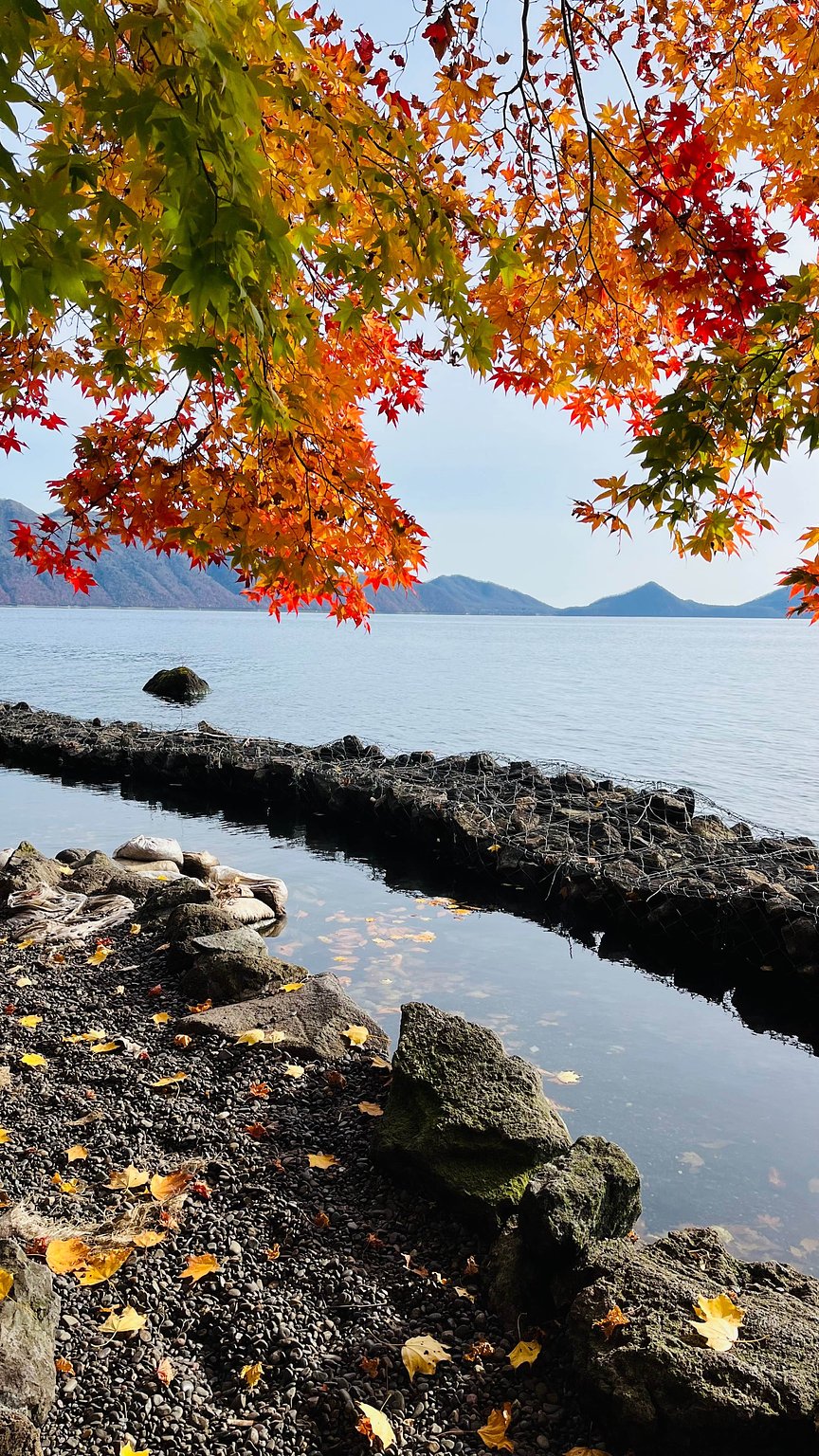 【裏ワザあり！】絶景に感動の露天風呂