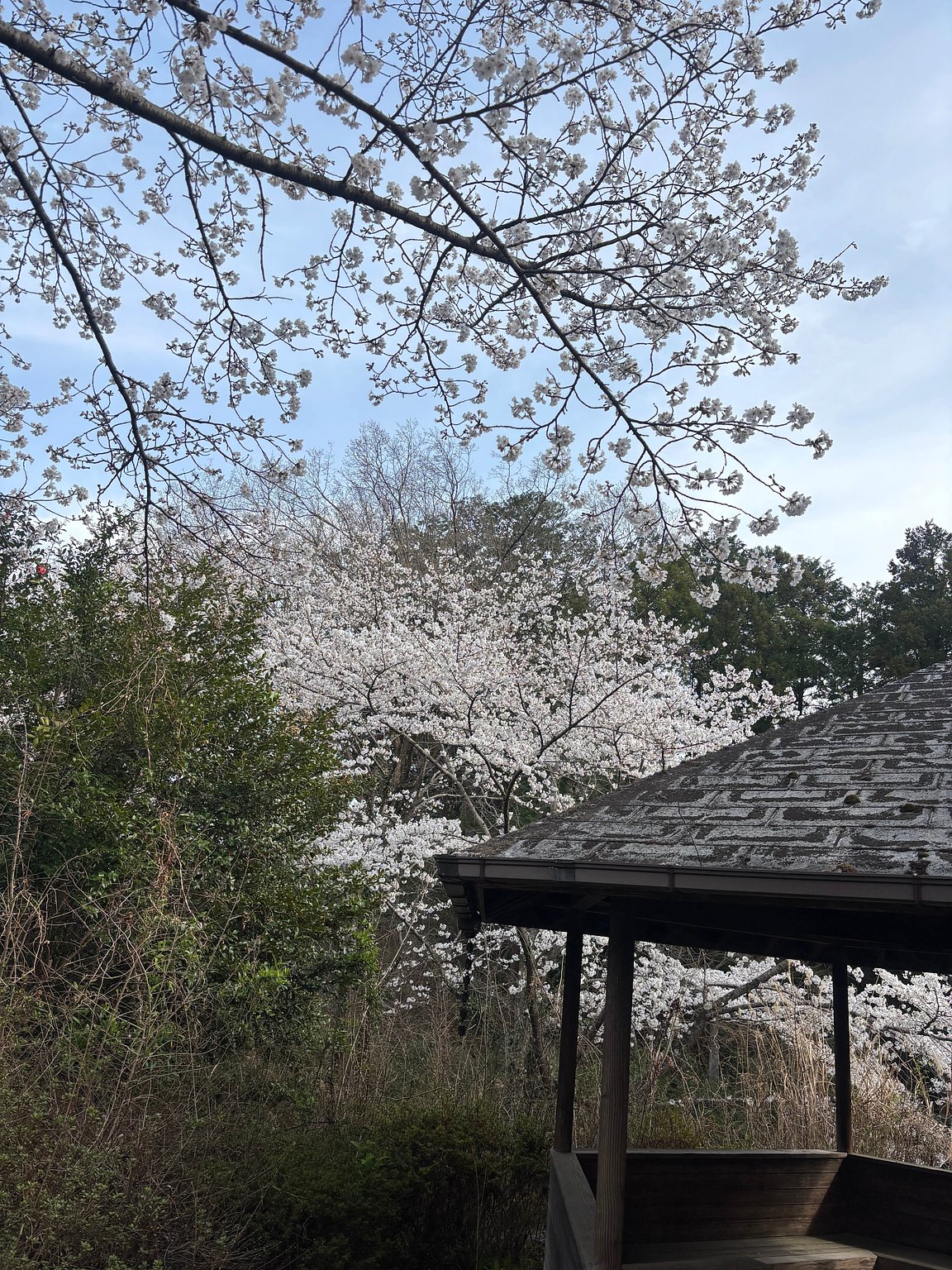 첫 글램핑에 최적!