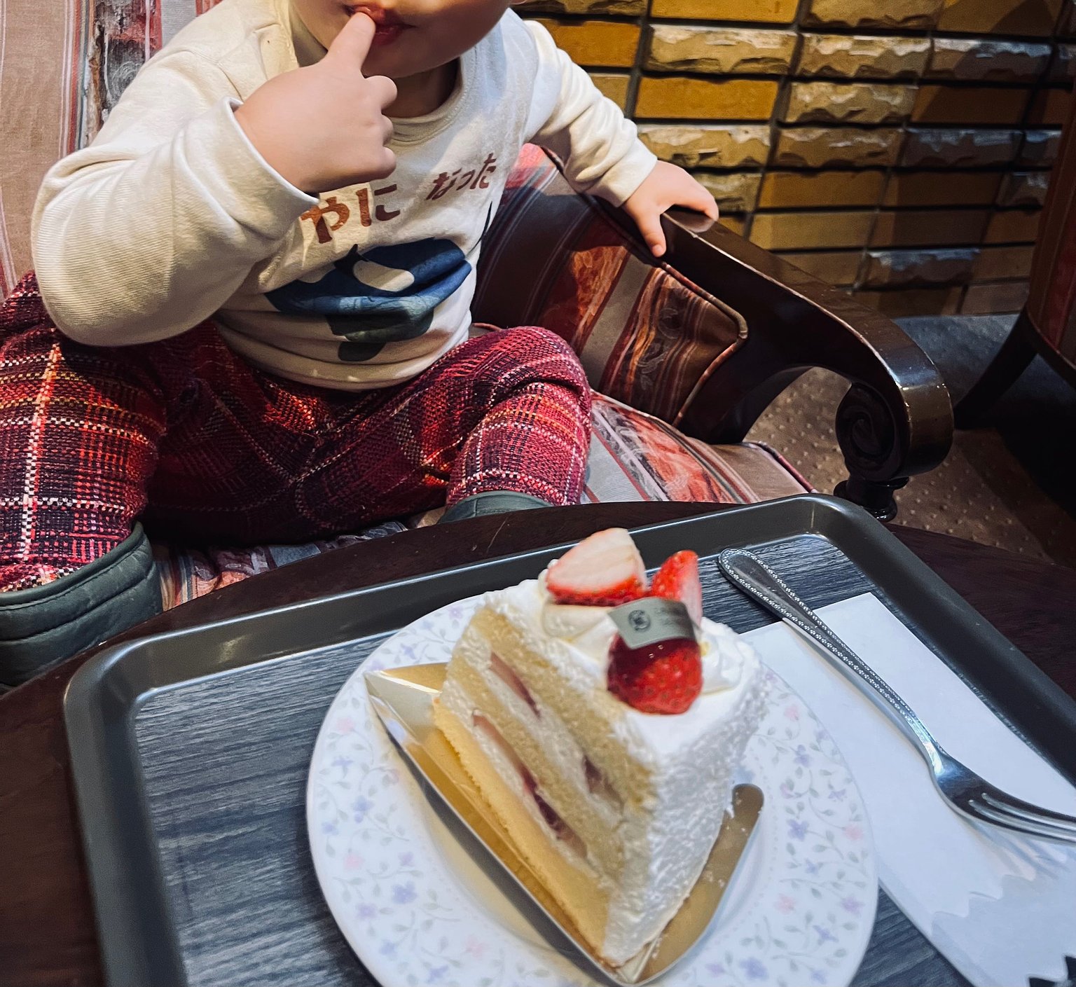 Classical × Cake × Wine = The Blissful Kofu Stay