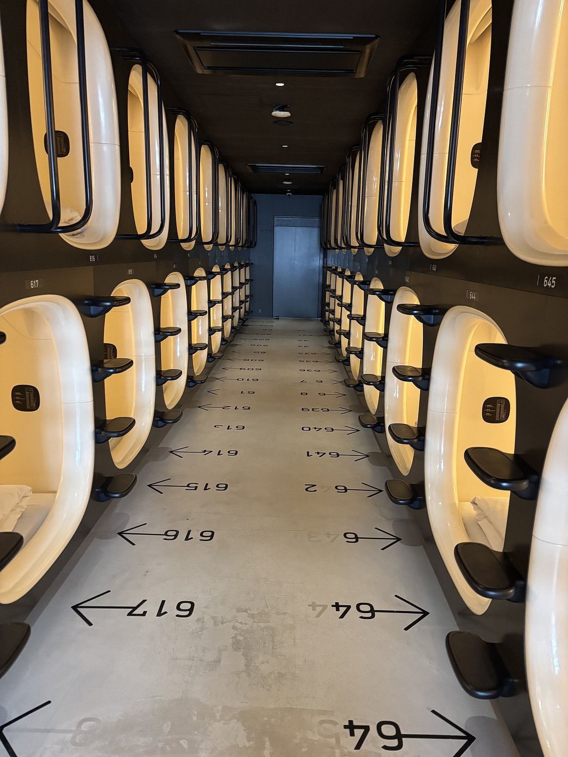 가성비 최고 도심 여행