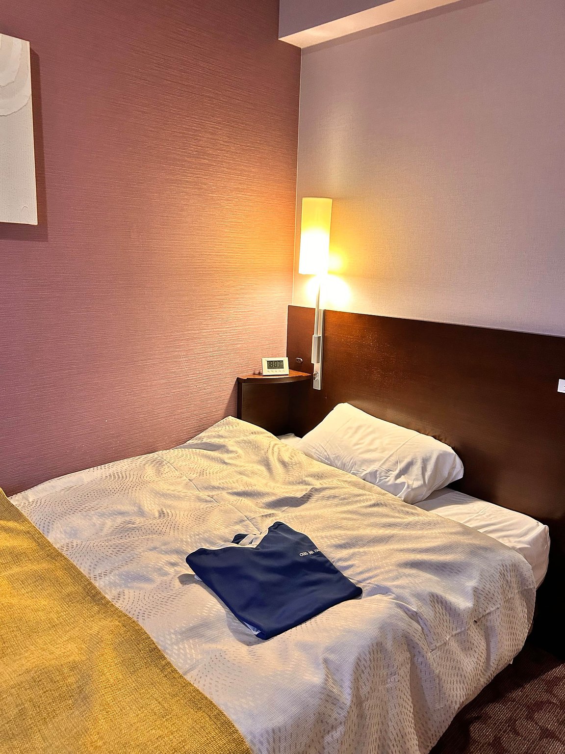 Highly Recommended for Great Value