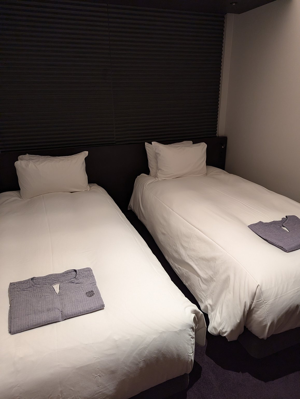 Stylish hotel with excellent services!