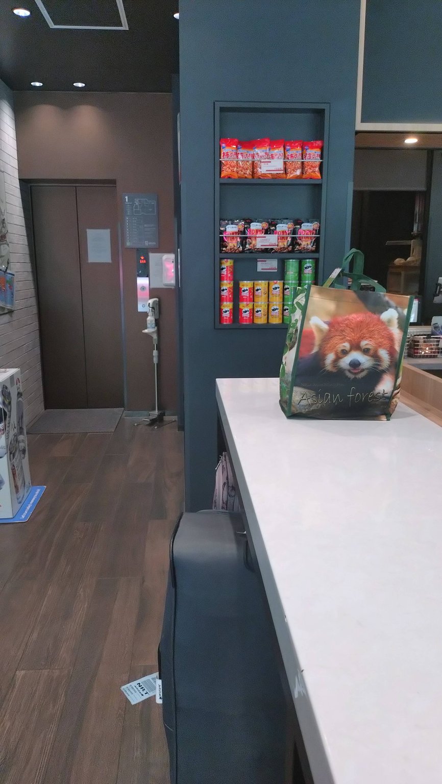 🐼 I'm going to Ueno Zoo! 🐼