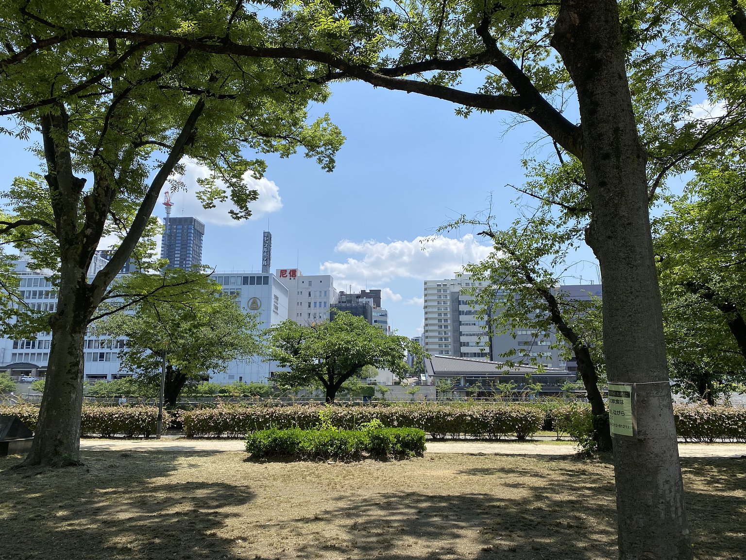 A Hotel That Feels Like Lying on a Plush Meadow