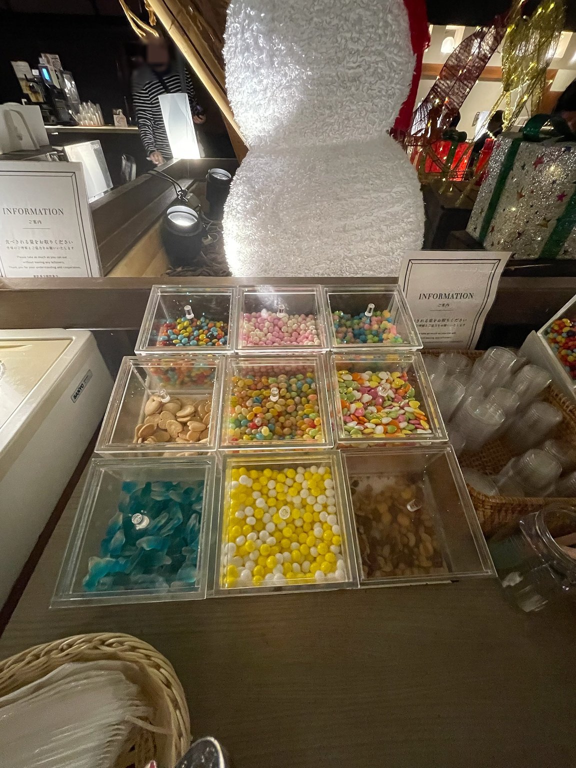 【Repeat Visit Confirmed】 A Friend for Families with Young Children at Disney♪