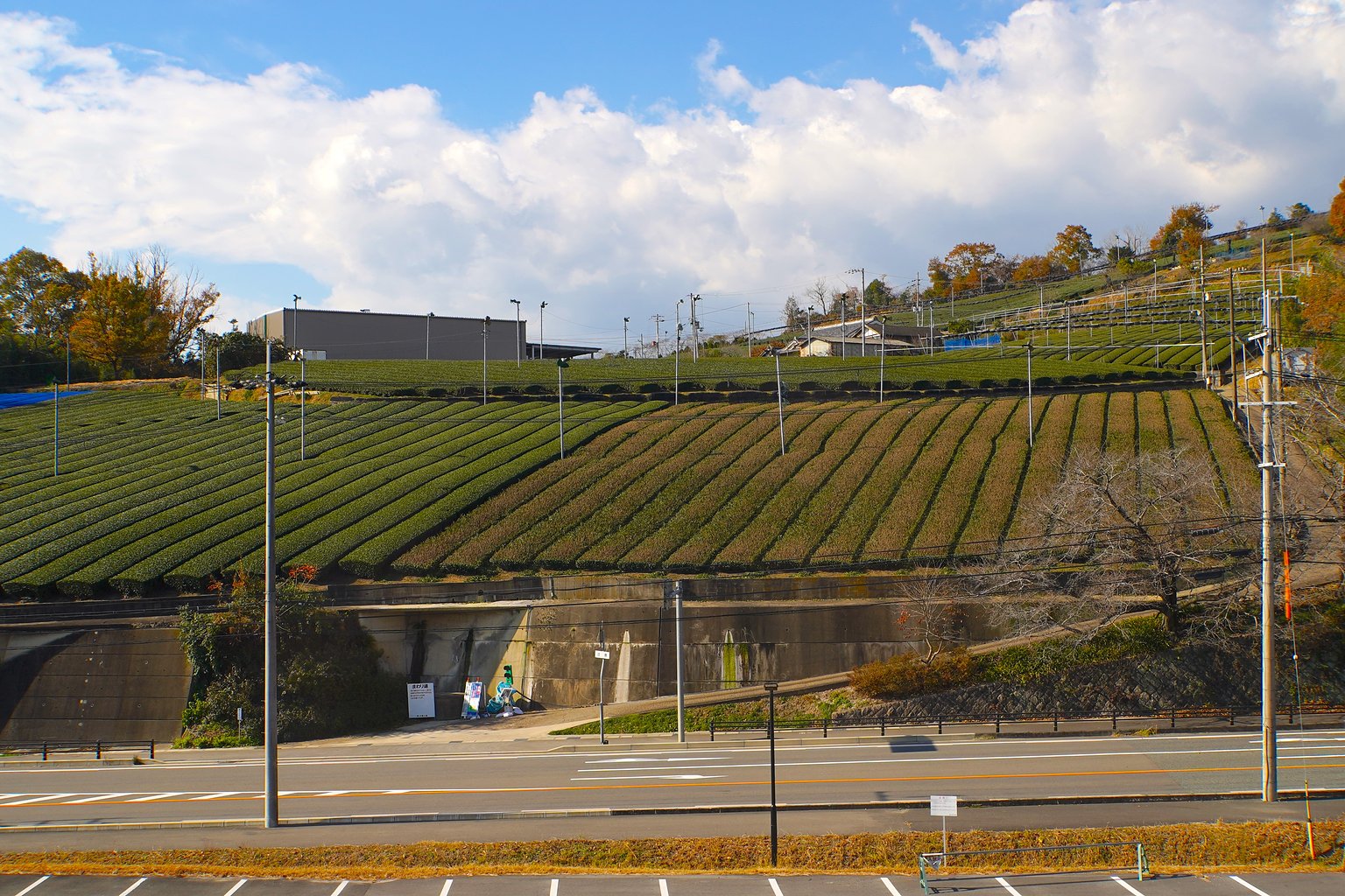 放鬆心靈的茶與對話──在南山城村邂逅「緣」的旅程