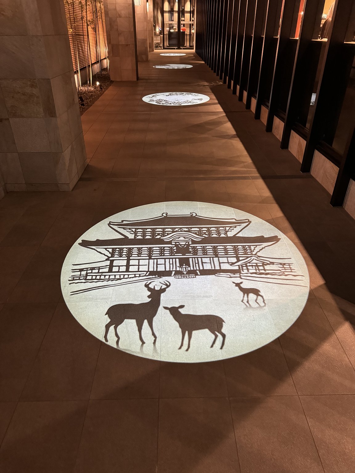 Enjoying Nara on a Solo Female Trip! The Location is Perfect!