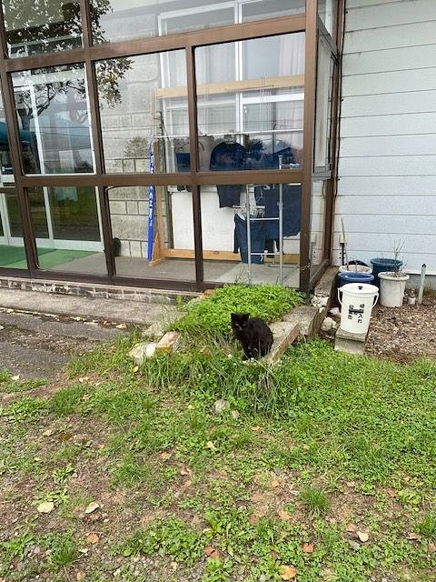 A Healing Inn Surrounded by Nature