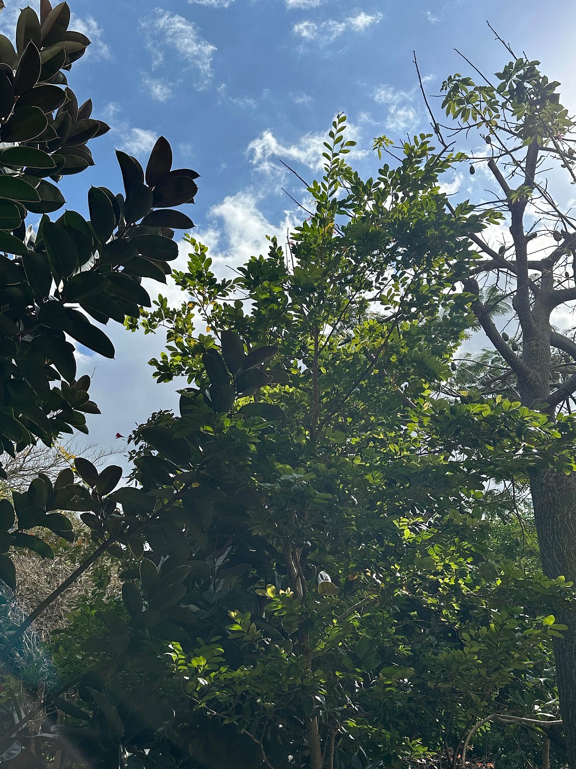 Living Like a Local at My Favorite Place in Naha