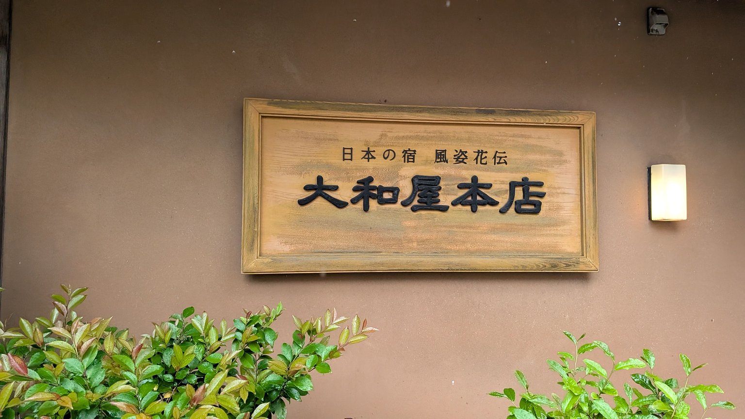 A Journey Through Matsuyama: Healing with Aroma and Aftertaste