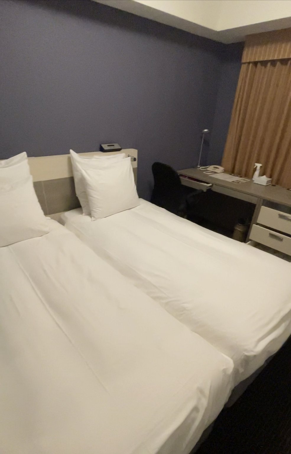 Right in front of Toyama Castle!