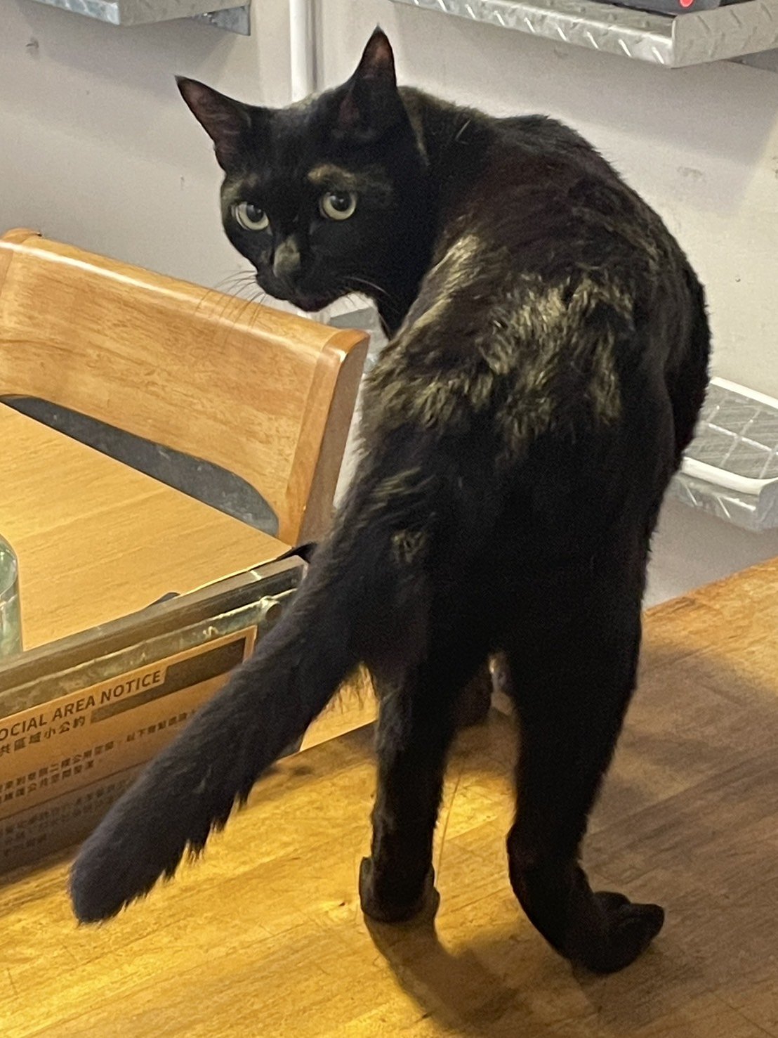 在復古城市的悠閒時光