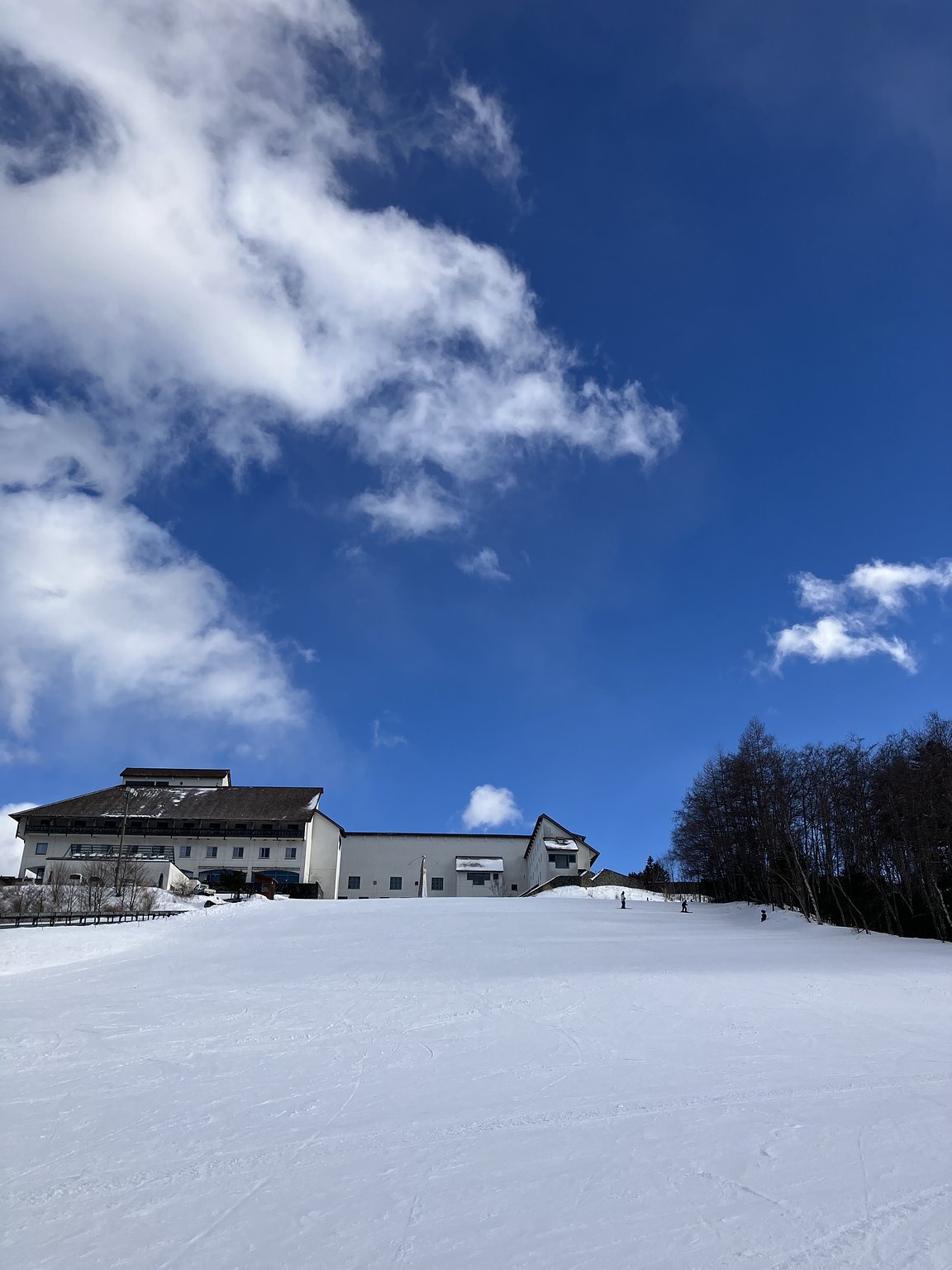 A 1450m High Lodge Directly Connected to the Ski Resort! Ski Trip with a 5-Year-Old!
