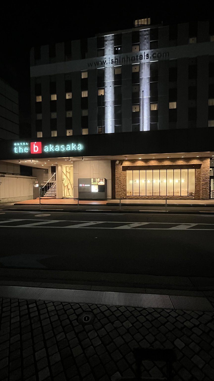 The Perfect Solo Trip to Tokyo!